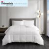 Cotton Down Alternative Featherless Comforter