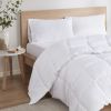 Anti-Microbial Down Alternative Comforter